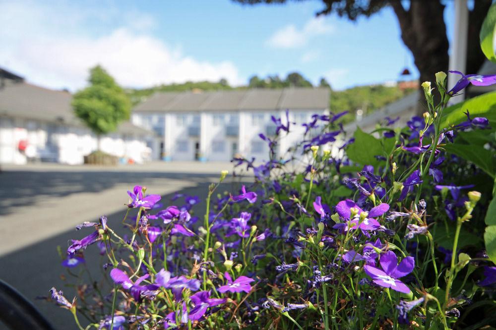 Midway Pacifica Lodge Lower Hutt Exteriör bild
